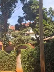 Kiambu Town Commercial Plot 50x100 with Ready Title - 3