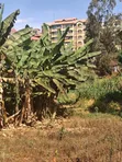 Kiambu Town Commercial Plot 50x100 with Ready Title - 5