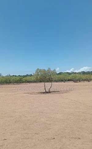 Malindi Ngogoni Eka 1000 kwa Ajili ya Kuchakata Chumvi na Uvuvi