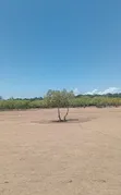 Malindi Ngogoni Eka 1000 kwa Ajili ya Kuchakata Chumvi na Uvuvi - 2