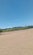 Malindi Ngogoni Eka 1000 kwa Ajili ya Kuchakata Chumvi na Uvuvi - 3