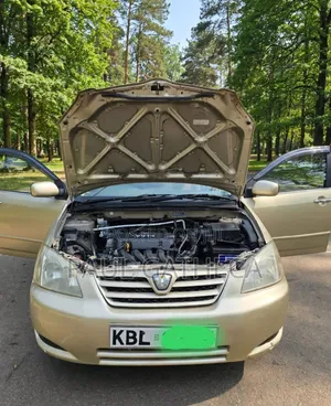 Toyota Corolla RunX 2004 Dhahabu