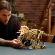 LEGO Jurassic World Mifupa ya Dinosauri: Triceratops - 3
