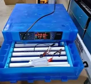 Kitu kipya: Incubator ya Mayai 64 (AC/DC Power)