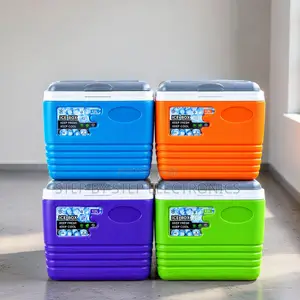 4.5L Portable Cooler Box for Food & Drinks