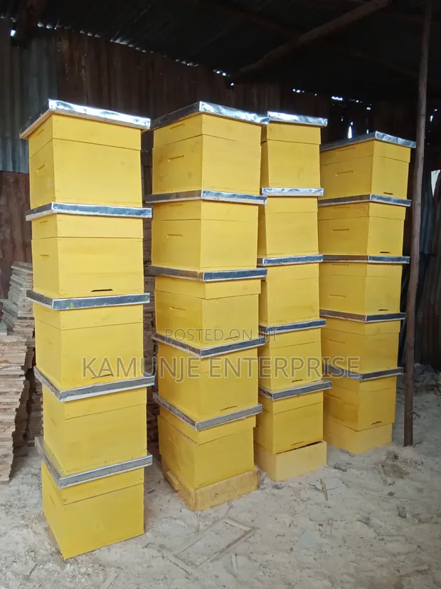 African Modified Box Hives - 1