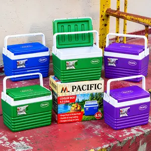 4.5L Portable Food Cooler Box for Travel & Outdoors