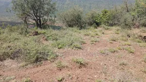 Eka 2.5 za Kupangisha Nyuma ya Ngong
