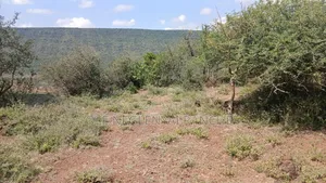 Eka 2.5 za Kupangisha Nyuma ya Ngong