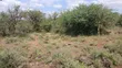 Eka 2.5 za Kupangisha Nyuma ya Ngong - 5