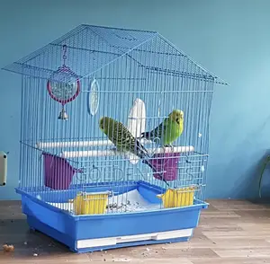 Budgies Breeding Pair with Cage