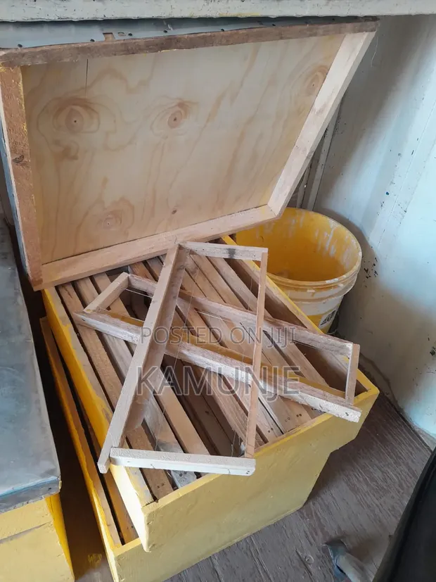 Brand New Langstroth Beehive - 1