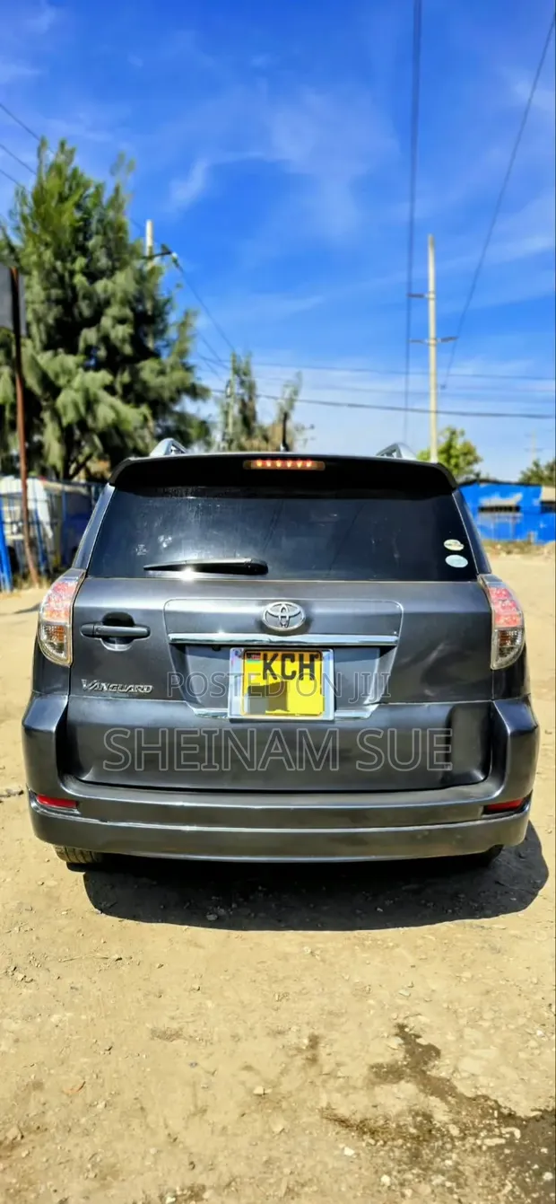 Toyota Vanguard 2010 Gray - 1