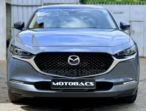 Mazda CX-30 2019 Kijivu