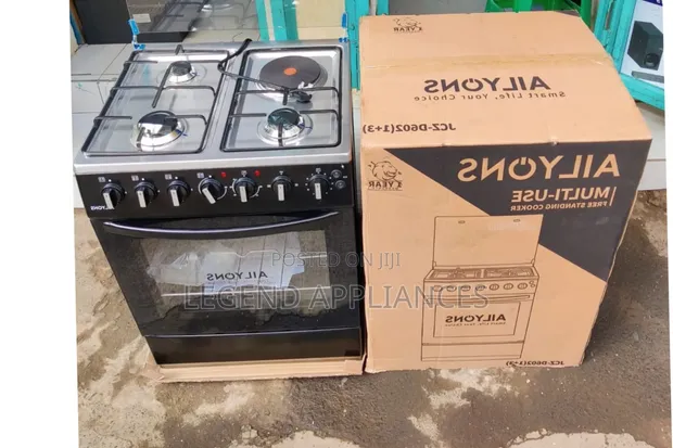 Aliyons 3+1 60x60 Standing Cooker - 1