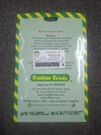 Spider Plant (Saga) Seeds - 2