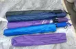 Spongy Umbrellas - Brand New - 1