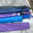 Spongy Umbrellas - Brand New - 2