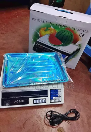 ACS 30KG Digital Computing Scale