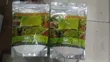 Hydroponics Nutrients (Type A & B) for Soil-Free Farming - 2
