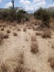 5 Acres Commercial Land for Sale, Mombasa Road Tarmac Frontage - 2
