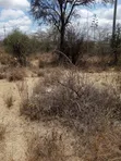5 Acres Commercial Land for Sale, Mombasa Road Tarmac Frontage - 3