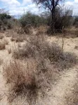 5 Acres Commercial Land for Sale, Mombasa Road Tarmac Frontage - 4