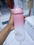 Frosted Plastic Water Bottle with Straw - 4
