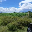 Vipande Bora vya Ardhi Vinauzwa Mutaita, Nakuru - 3