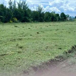 Prime Plots for Sale in Mutaita, Nakuru