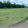 Vipande Bora vya Ardhi Vinauzwa Mutaita, Nakuru - 4