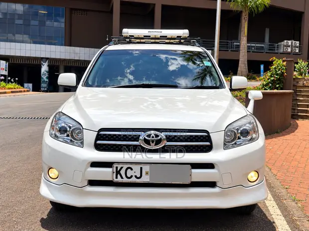 Toyota RAV4 2009 White - 1