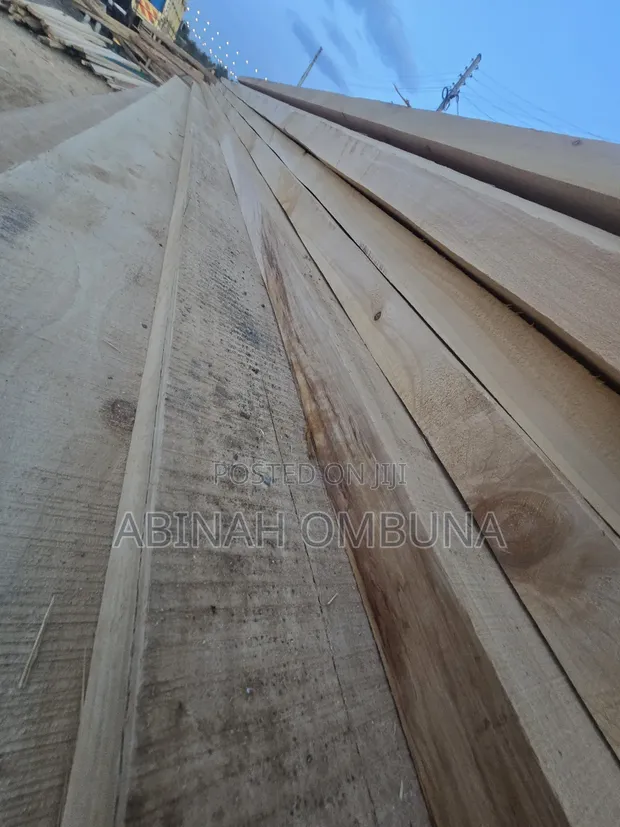 Pine Timber Available - 1