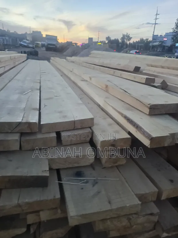 Pine Timber - 1