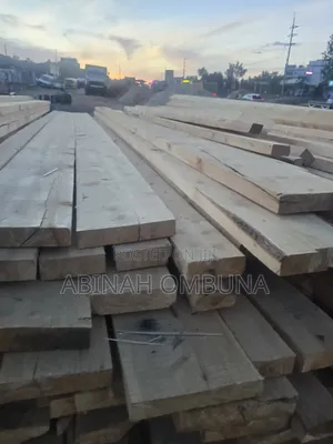 Pine Timber