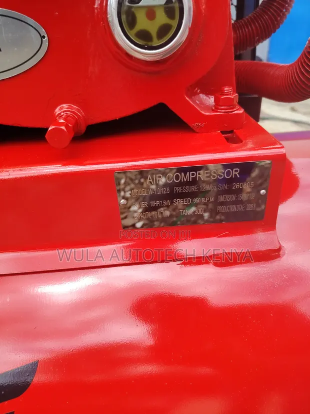 Sunshine Italy 300L Heavy Duty Pneumatic Air Compressor - 1
