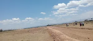 Mutaita Prime Plots for Sale