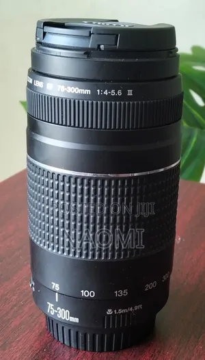 Canon EF 75-300mm f/4-5.6 III USM Lens