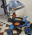 Musical Leather Tricycle with Protective Bar - 1