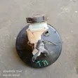 Brake Booster Nissan X-Trail NT31 - 2