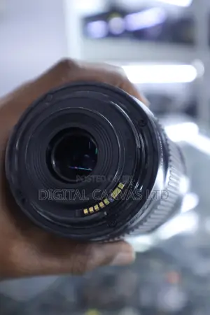 Canon EF-S 55-250mm f/4-5.6 IS STM Lens