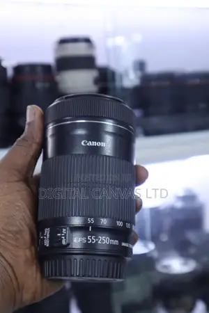 Canon EF-S 55-250mm f/4-5.6 IS STM Lens