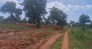 Prime 1/8 Acre Plots in Bomani, Kikambala
