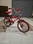 Original Animal Planet BMX Bike - Size 16 - 1
