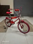 Original Animal Planet BMX Bike - Size 16 - 2