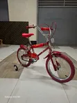Original Animal Planet BMX Bike - Size 16 - 3