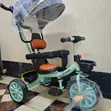 Brand New ALEX Tricycle with Canopy, Musical, Protective Bar - 2