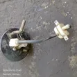 Brake Booster Nissan Serena (Ex-Japan) - 2