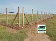 Nguzo za Saruji & Mbao, Huduma za Fencing na LANDLINKS - 4