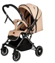 Burbay 2-in-1 Stroller - 2